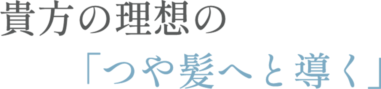 あなたの理想の「つや髪へと導く」